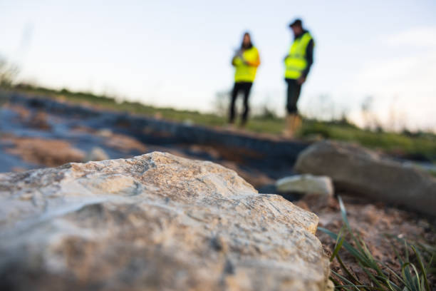 Đấu thầu và quản lý dự án